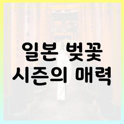 일본 벚꽃 시즌의 매력