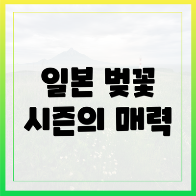 일본 벚꽃 시즌의 매력