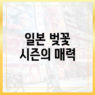일본 벚꽃 시즌의 매력