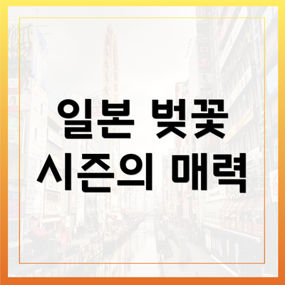 일본 벚꽃 시즌의 매력