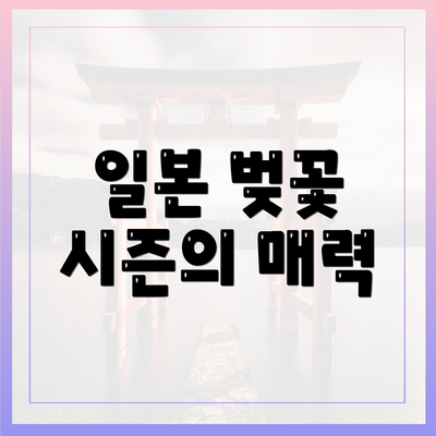 일본 벚꽃 시즌의 매력