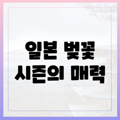 일본 벚꽃 시즌의 매력