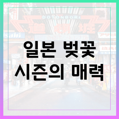 일본 벚꽃 시즌의 매력