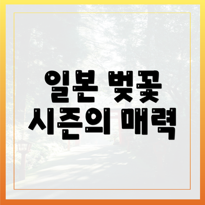 일본 벚꽃 시즌의 매력