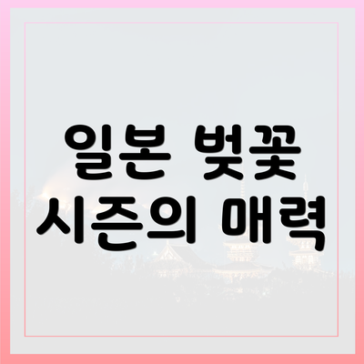 일본 벚꽃 시즌의 매력