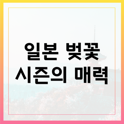 일본 벚꽃 시즌의 매력
