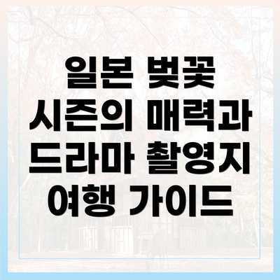 일본 벚꽃 시즌의 매력과 드라마 촬영지 여행 가이드