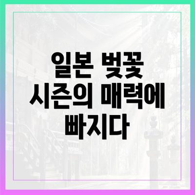 일본 벚꽃 시즌의 매력에 빠지다
