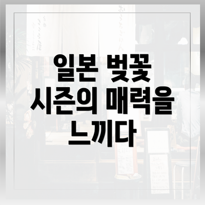 일본 벚꽃 시즌의 매력을 느끼다