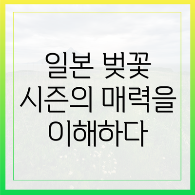 일본 벚꽃 시즌의 매력을 이해하다