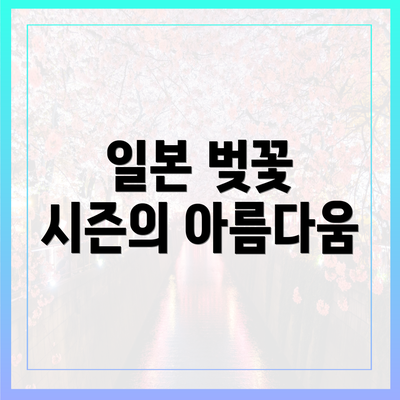 일본 벚꽃 시즌의 아름다움