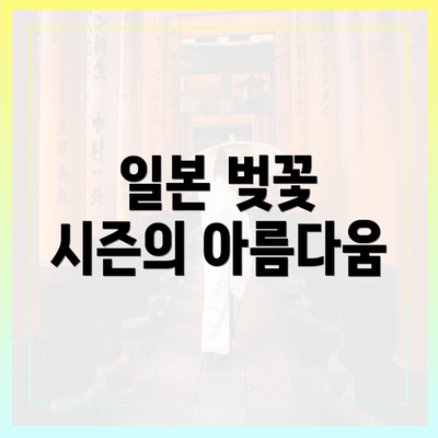 일본 벚꽃 시즌의 아름다움