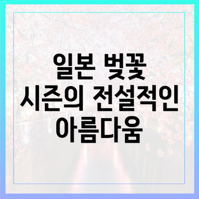 일본 벚꽃 시즌의 전설적인 아름다움