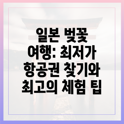 일본 벚꽃 여행: 최저가 항공권 찾기와 최고의 체험 팁