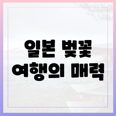 일본 벚꽃 여행의 매력
