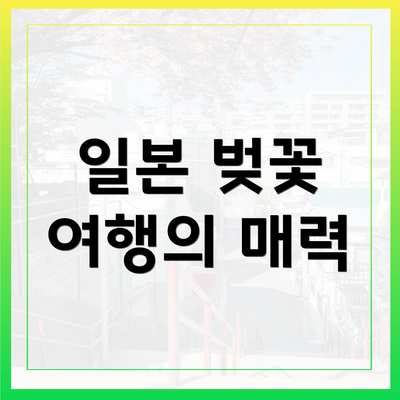 일본 벚꽃 여행의 매력