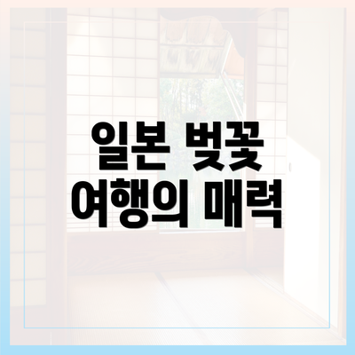 일본 벚꽃 여행의 매력