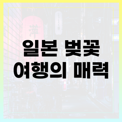 일본 벚꽃 여행의 매력