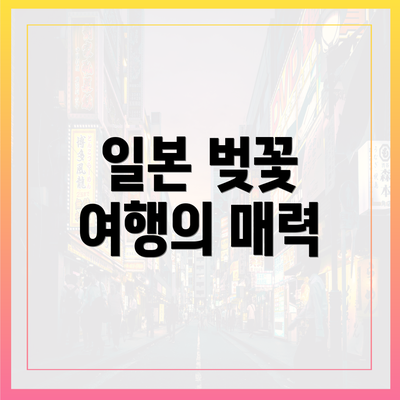 일본 벚꽃 여행의 매력