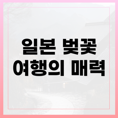 일본 벚꽃 여행의 매력