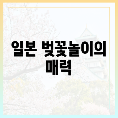 일본 벚꽃놀이의 매력