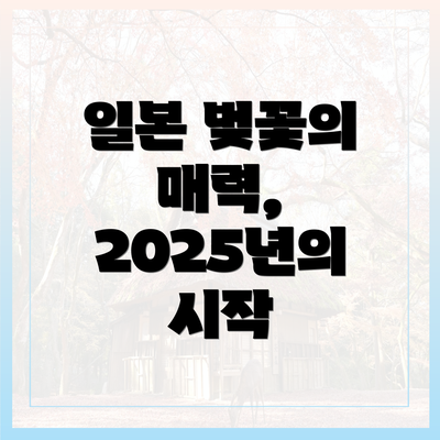 일본 벚꽃의 매력, 2025년의 시작