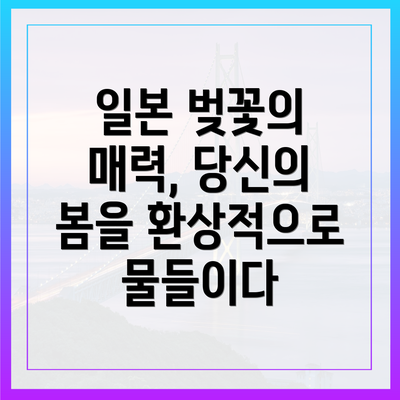 일본 벚꽃의 매력, 당신의 봄을 환상적으로 물들이다