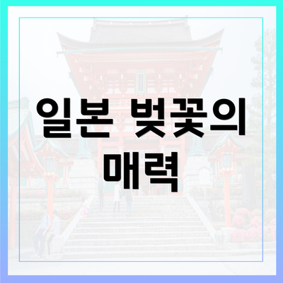 일본 벚꽃의 매력