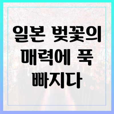 일본 벚꽃의 매력에 푹 빠지다