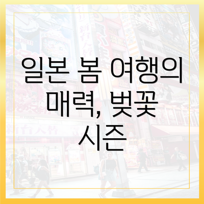 일본 봄 여행의 매력, 벚꽃 시즌