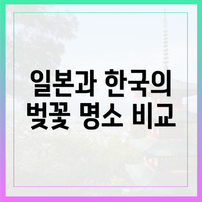일본과 한국의 벚꽃 명소 비교