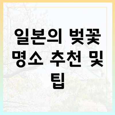 일본의 벚꽃 명소 추천 및 팁