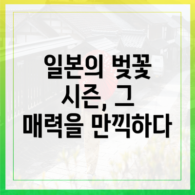 일본의 벚꽃 시즌, 그 매력을 만끽하다