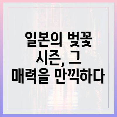 일본의 벚꽃 시즌, 그 매력을 만끽하다