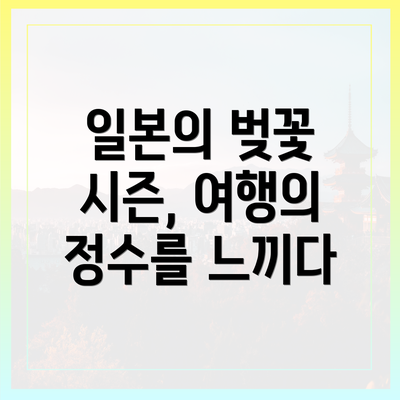 일본의 벚꽃 시즌, 여행의 정수를 느끼다