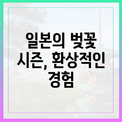 일본의 벚꽃 시즌, 환상적인 경험