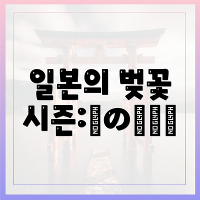 일본의 벚꽃 시즌:春の風物詩