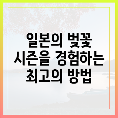 일본의 벚꽃 시즌을 경험하는 최고의 방법