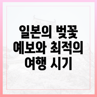 일본의 벚꽃 예보와 최적의 여행 시기