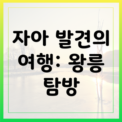 자아 발견의 여행: 왕릉 탐방