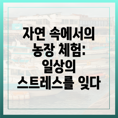자연 속에서의 농장 체험: 일상의 스트레스를 잊다