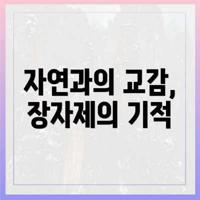 자연과의 교감, 장자제의 기적