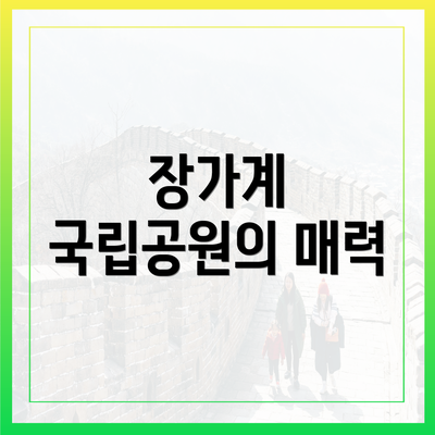 장가계 국립공원의 매력