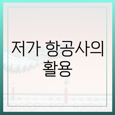 저가 항공사의 활용