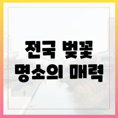 전국 벚꽃 명소의 매력