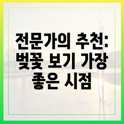 전문가의 추천: 벚꽃 보기 가장 좋은 시점