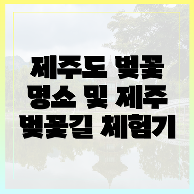 제주도 벚꽃 명소 및 제주 벚꽃길 체험기