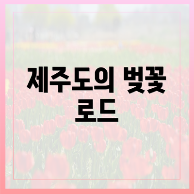 제주도의 벚꽃 로드