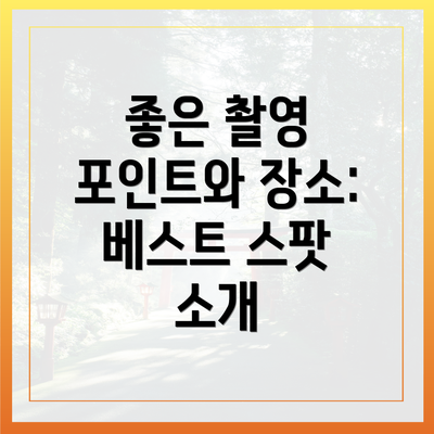 좋은 촬영 포인트와 장소: 베스트 스팟 소개