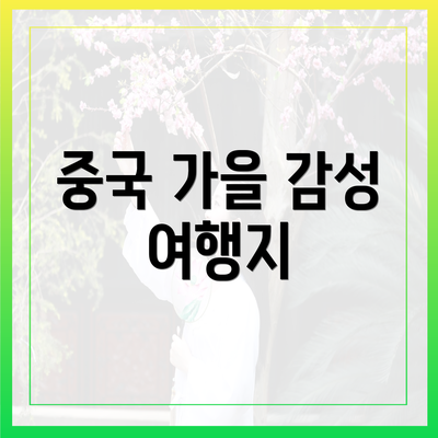 중국 가을 감성 여행지